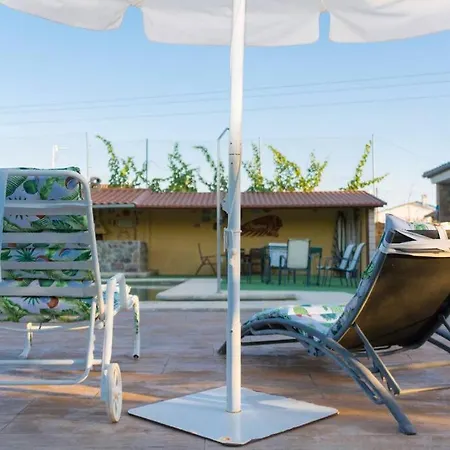 El Zarzoso Tr-cc-00562 *