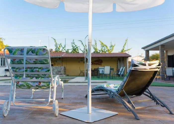 El Zarzoso Tr-cc-00562 *